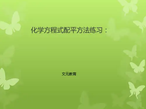 初三化学方程式配平及计算