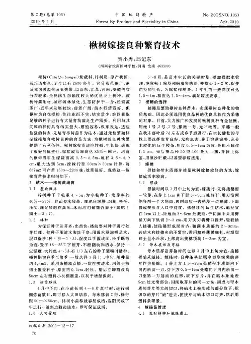 楸树嫁接良种繁育技术