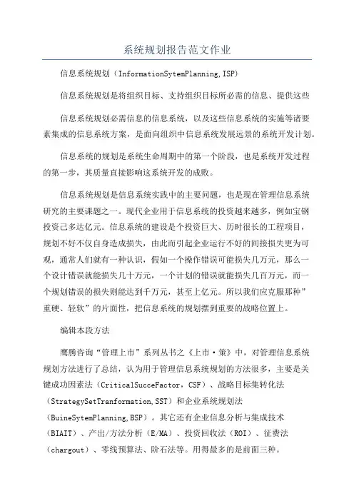 系统规划报告范文作业