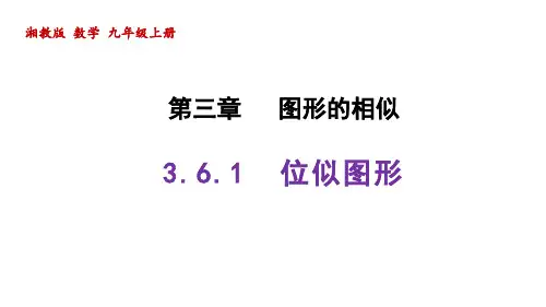 位似图形课件2021-2022学年湘教版数学九年级上册