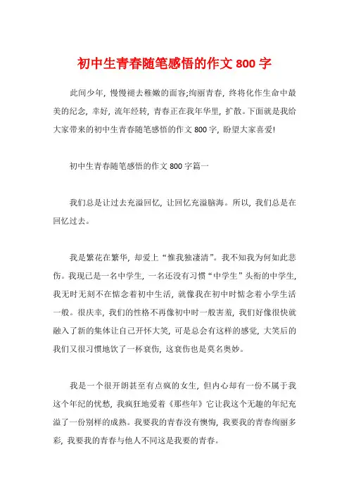 初中生青春随笔感悟的作文800字