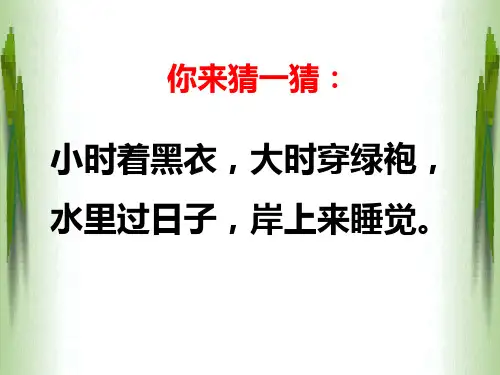人教版八年级生物下册 7.两栖动物的生殖和发育 课件