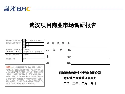 武汉商业市场调研报告