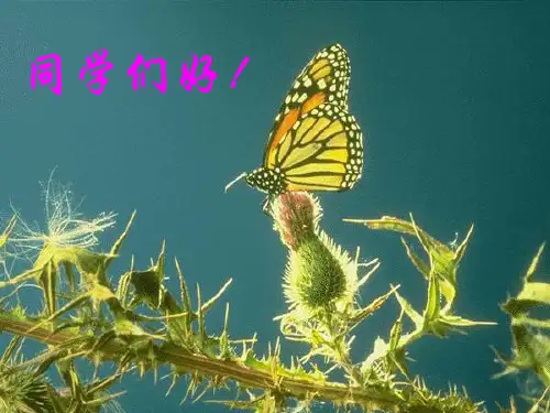 (推荐)分析化学第一章绪论