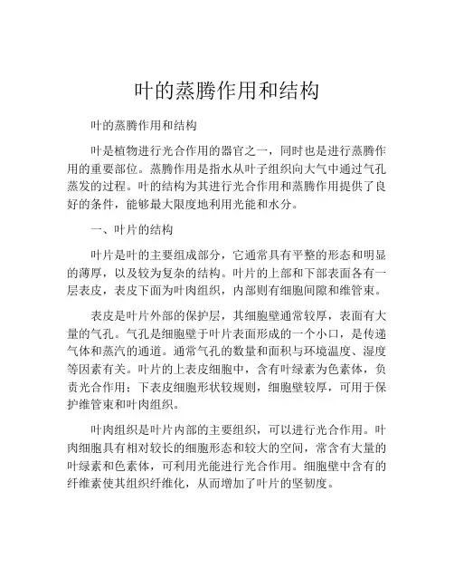叶的蒸腾作用和结构