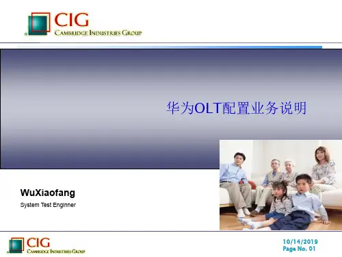 华为OLT配置说明学习资料