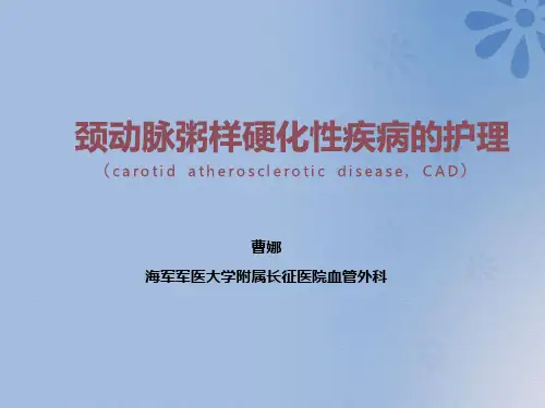 颈动脉粥样硬化闭塞症的诊疗和护理