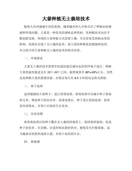 大姜种植无土栽培技术