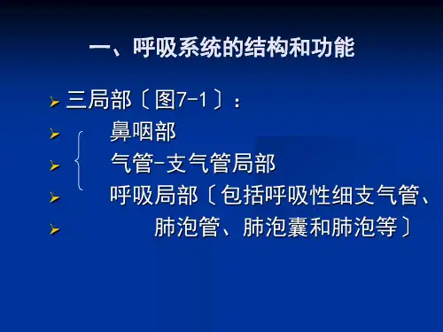 7药物对呼吸系统的毒性作用