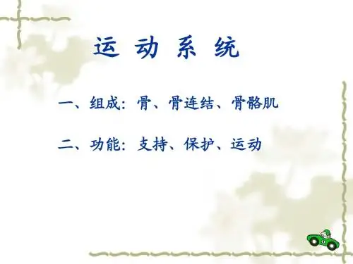 骨学绪论、躯干骨