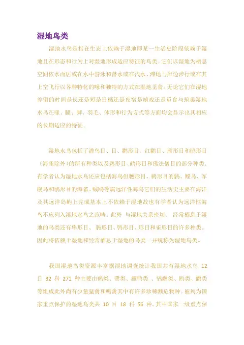 湿地鸟类