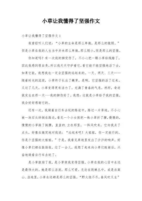 小草让我懂得了坚强作文