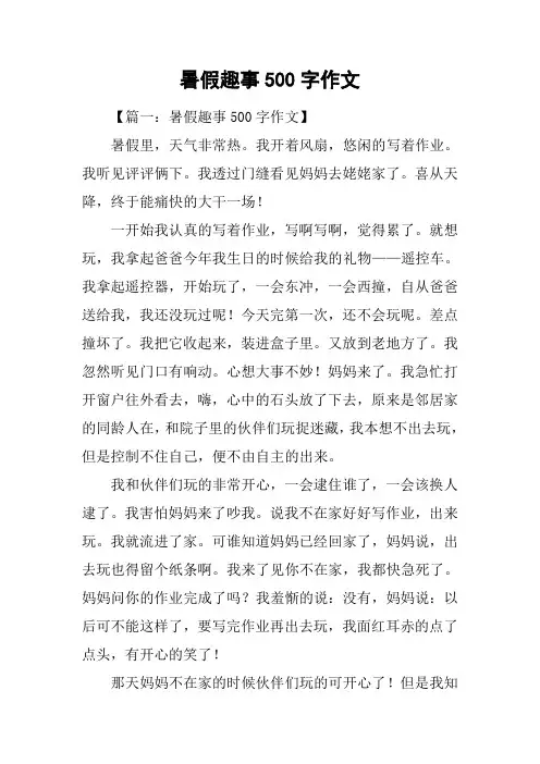 暑假趣事500字作文