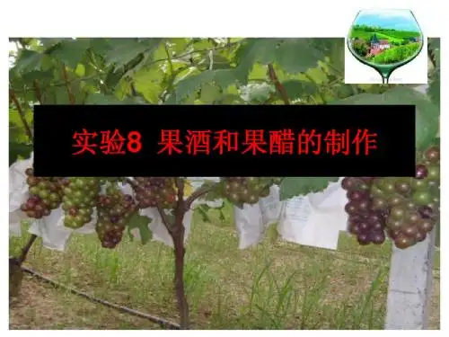实验8果酒和果醋的制作