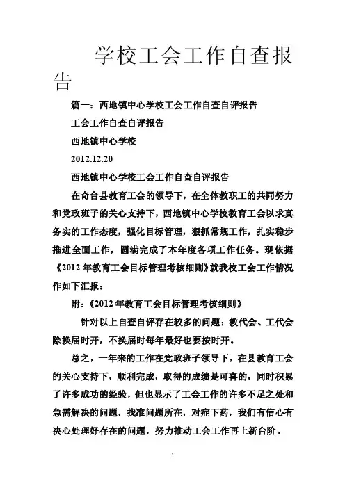 学校工会工作自查报告