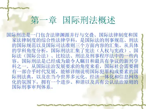 国际刑法学现代刑事法学系列教材