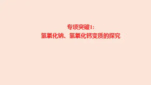 中考化学专项突破1：氢氧化钠、氢氧化钙变质的探究
