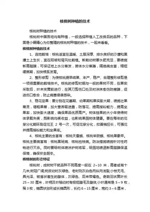 核桃树种植的技术