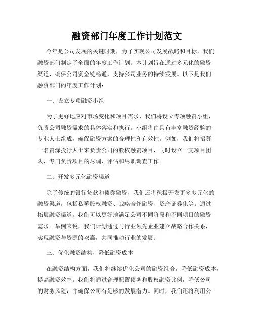 融资部门年度工作计划范文