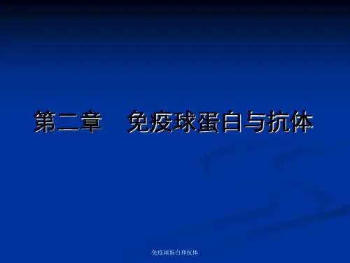 免疫球蛋白和抗体