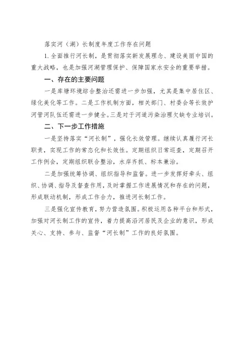 落实河(湖)长制度年度工作存在问题