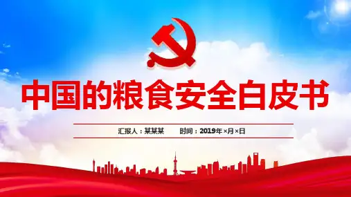 国家粮食安全国家粮食安全理论PPT