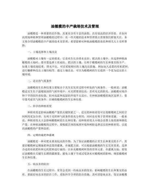 油橄榄的丰产栽培技术及管理