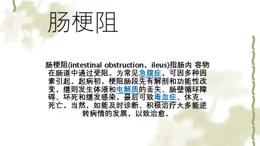肠梗阻ppt课件