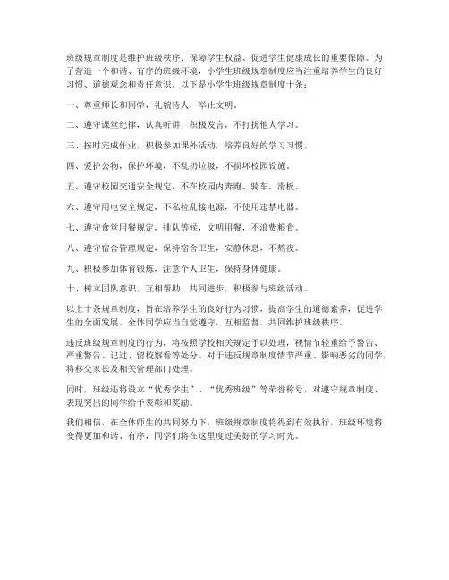 班级规章制度十条小学生