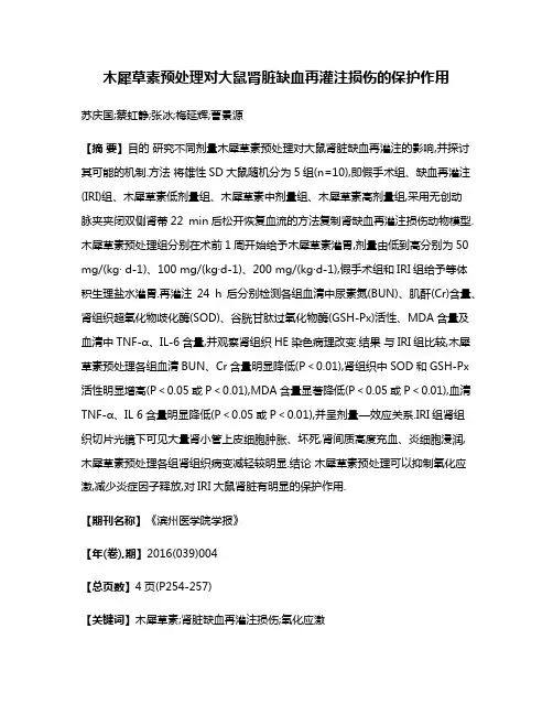 木犀草素预处理对大鼠肾脏缺血再灌注损伤的保护作用