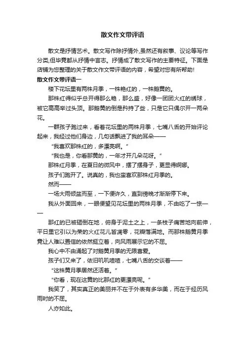 散文作文带评语