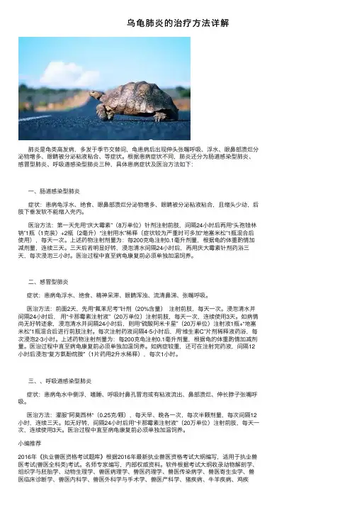 乌龟肺炎的治疗方法详解