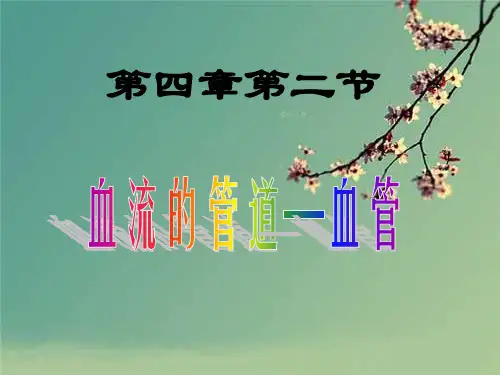 人教版七年级生物下册《血流的管道——血管》PPT.ppt