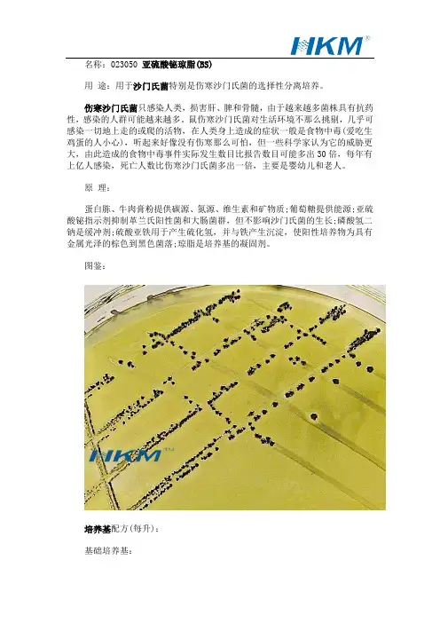 亚硫酸铋琼脂(BS)伤寒沙门氏菌分离培养