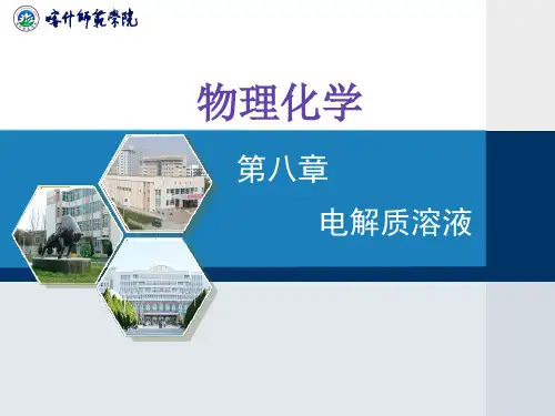 第08章电解质溶液共75页文档