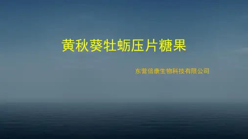 黄秋葵牡蛎压片糖果PPT