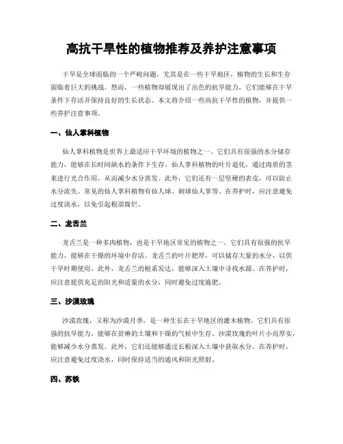 高抗干旱性的植物推荐及养护注意事项