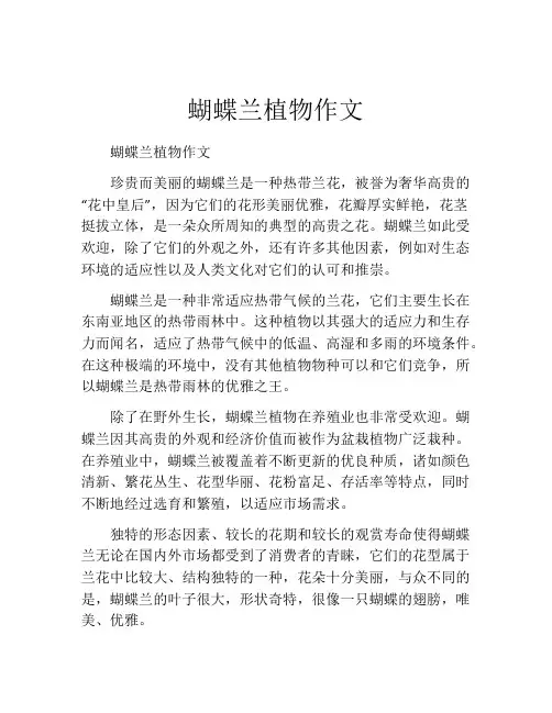 蝴蝶兰植物作文
