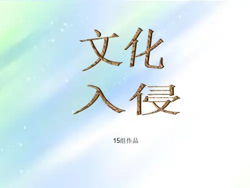 外来文化入侵