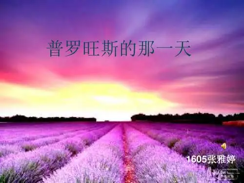 普罗旺斯的一天