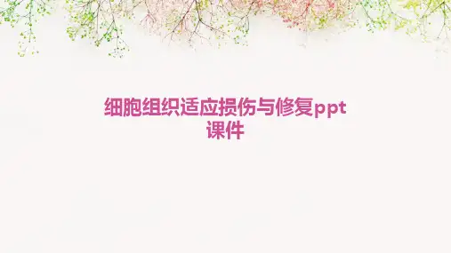 细胞组织适应损伤与修复PPT课件