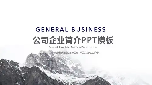 巍峨高山公司简介PPT模板