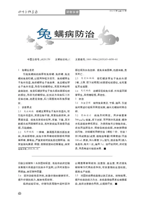 兔螨病防治