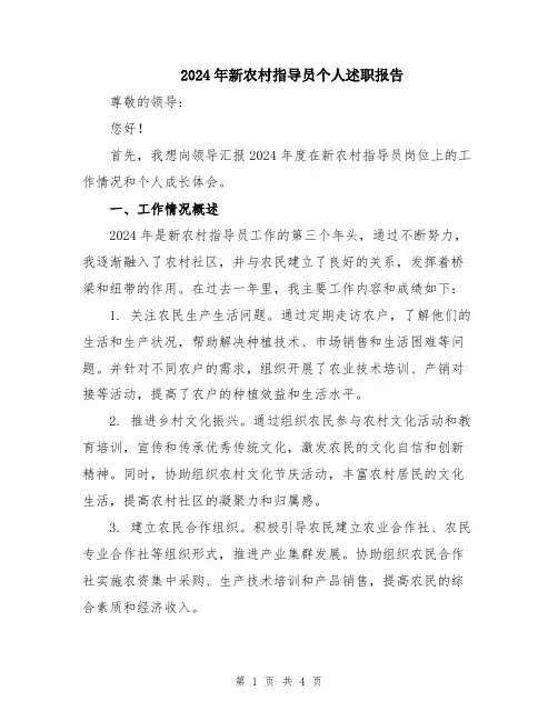 2024年新农村指导员个人述职报告