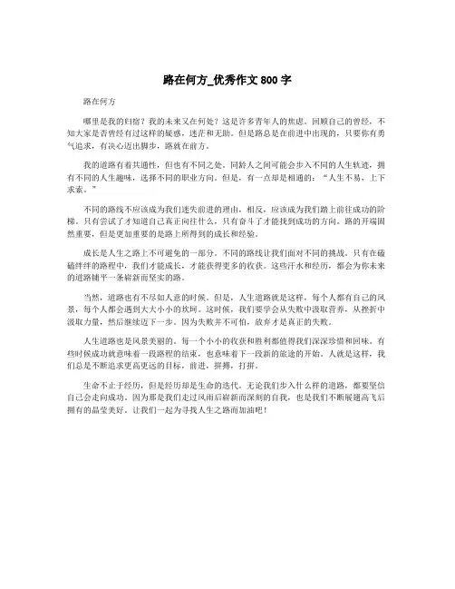 路在何方_优秀作文800字