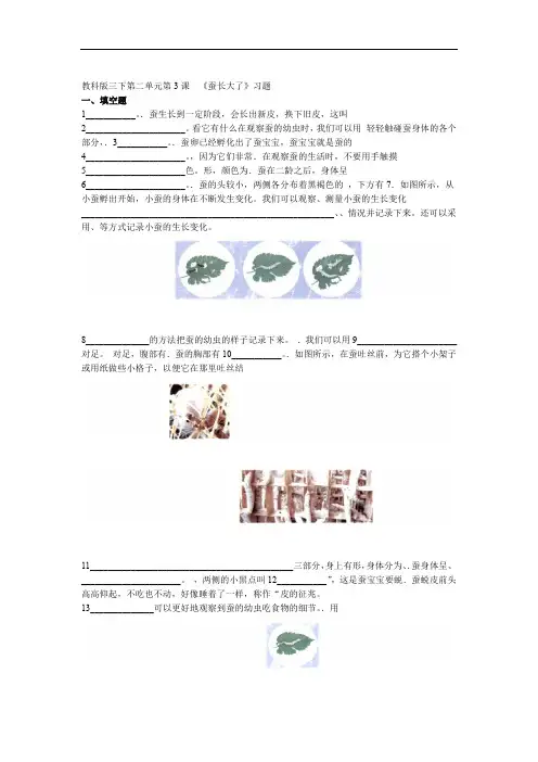 教科版小学科学三年级下册第二单元第3课蚕长大了试题