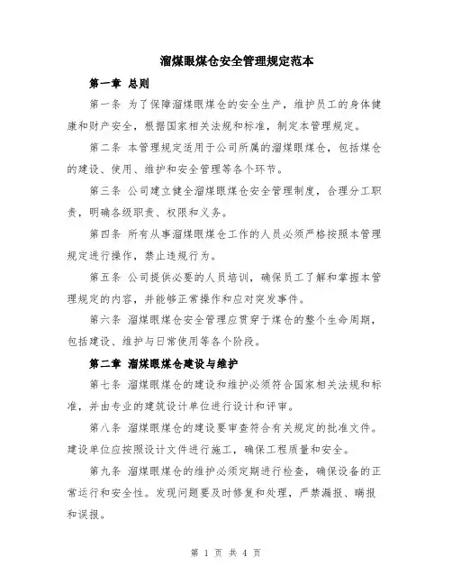 溜煤眼煤仓安全管理规定范本