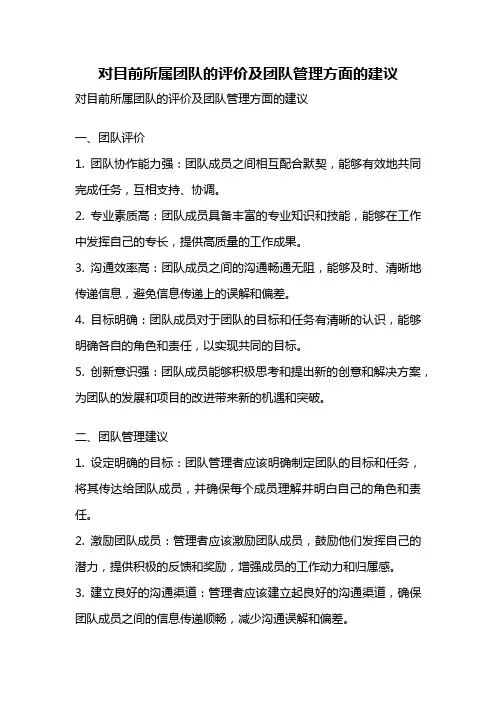 对目前所属团队的评价及团队管理方面的建议