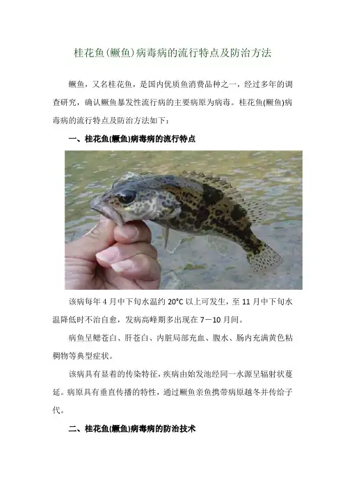 桂花鱼(鳜鱼)病毒病的流行特点及防治方法