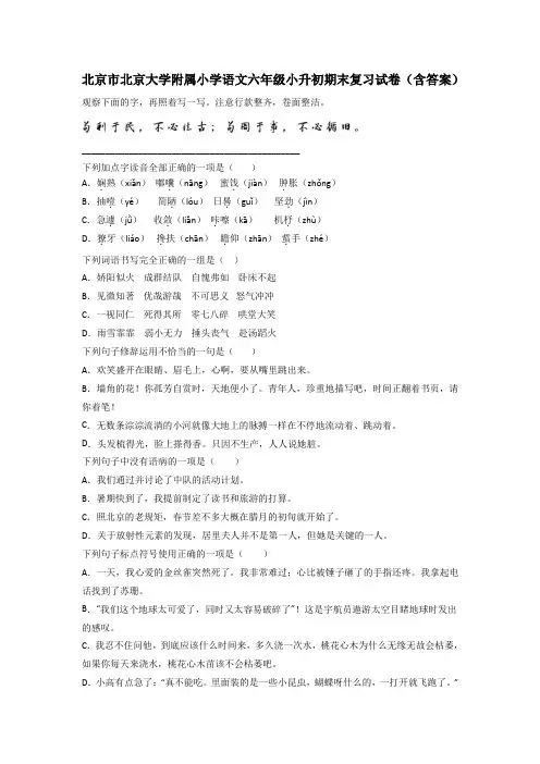 北京市北京大学附属小学语文六年级小升初期末复习试卷(含答案)